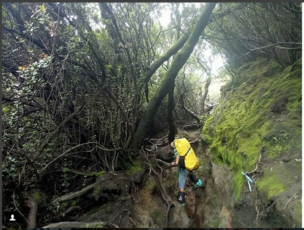 Hiking Gunung Kerinci